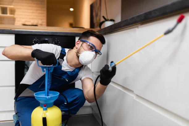 Best Cockroach Control Services  in Eldora, IA
